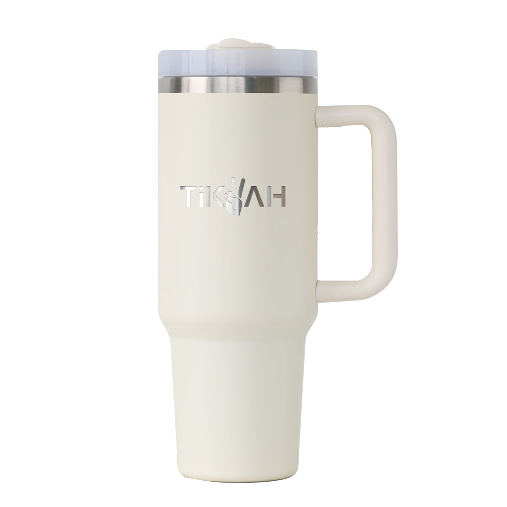 Double Wall Insulated Stainless Steel Tumbler with Handle | Gym Accessories
