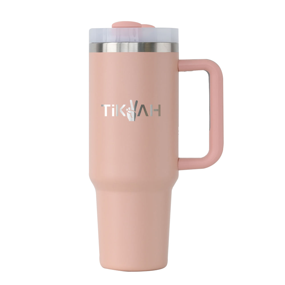 Double Wall Insulated Stainless Steel Tumbler with Handle | Gym Accessories